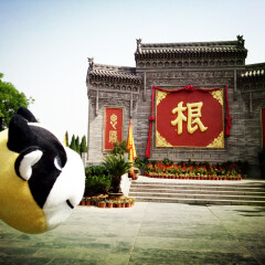 大槐树寻根祭祖园05