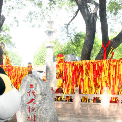 大槐树寻根祭祖园第三代大槐树