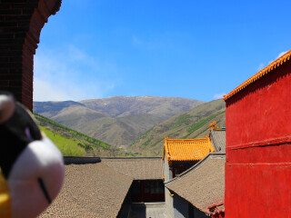 五台山国家森林公园