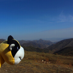 五台山05