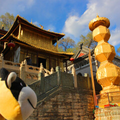 显通寺02