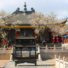 广化寺03