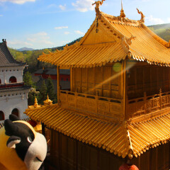 显通寺04