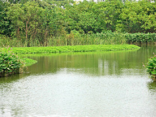 苗栗市后龙溪河滨公园