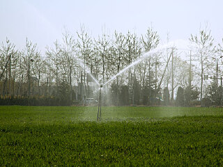 三角湖休闲农场