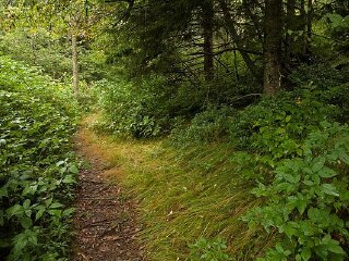 知本森林游乐园