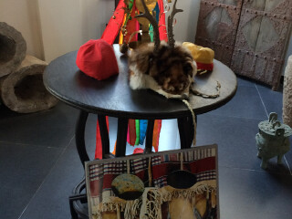 长白山原始萨满部落景区