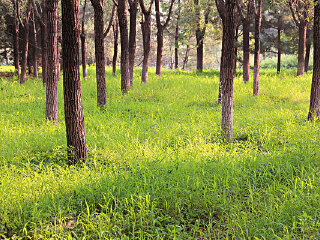 乐峰赤壁生态景区