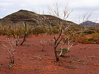邦格尔邦格尔山脉