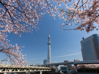 东京天空树