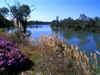阿德莱德墨累河