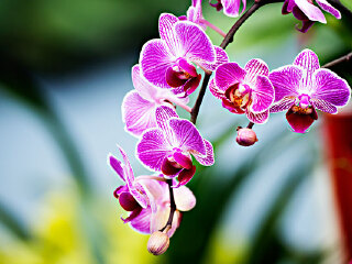 绍兴兰花休闲山庄