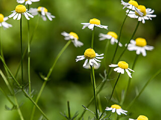 绍兴平水家有农家山庄