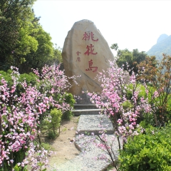 桃花岛