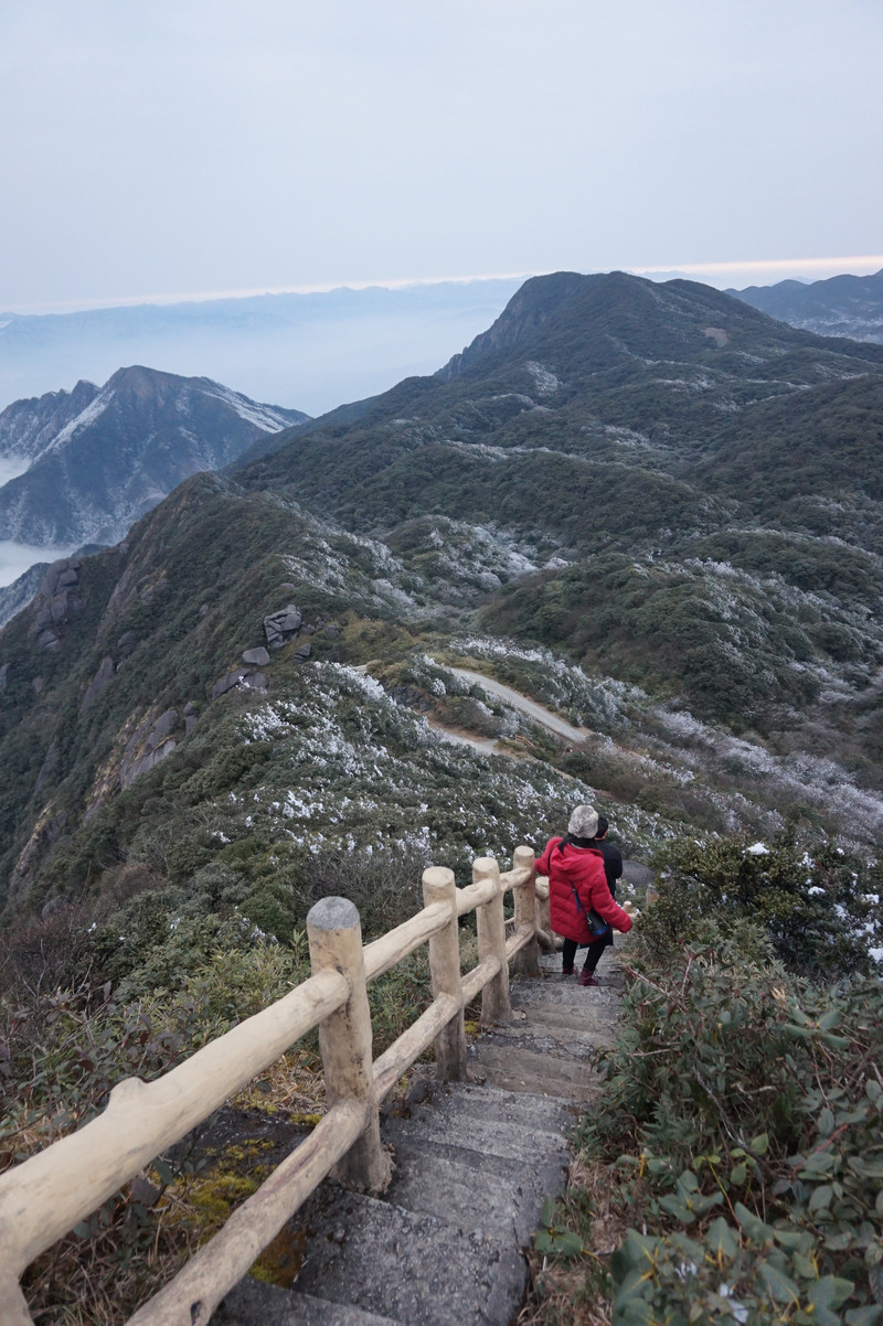 桂林猫儿山山顶温度图片