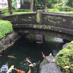 景点模块 