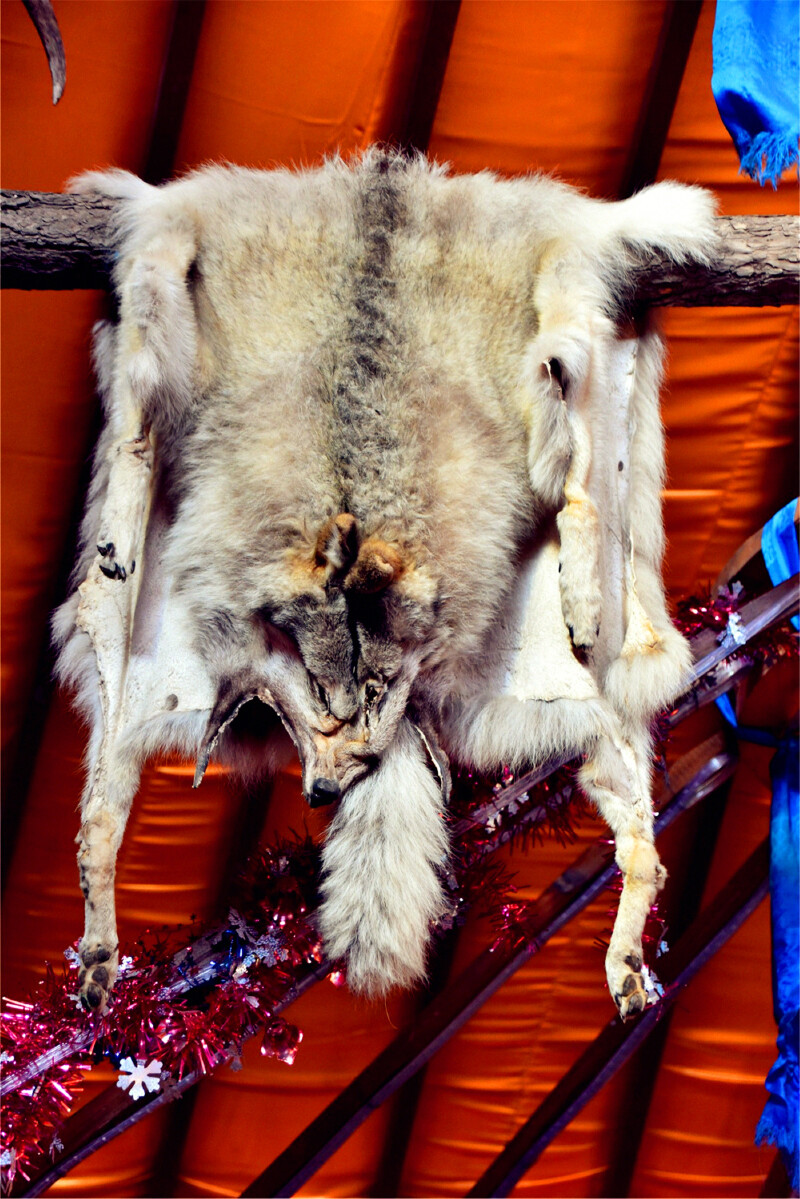 四周挂着草原狼皮.用牛皮制作的呼伦贝尔地图.