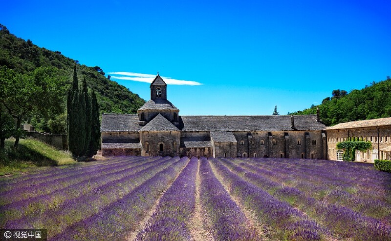侣行图片记录普罗旺斯薰衣草之旅