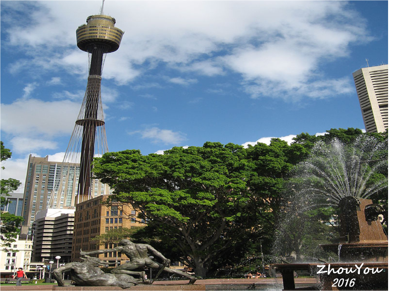 从这个角度可以远观悉尼塔(sydney tower eye).塔高304.
