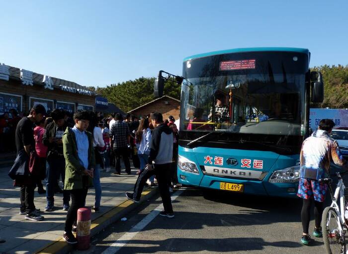 游客观赏樱花,旅顺旅游集团在大连和平广场,华南广场,大连火车站前