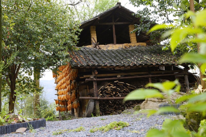 重庆武隆声名在外,但天坑寨子里的风土人情你又知多少?