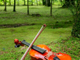 浜松市乐器博物馆