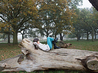 御殿场中央公园