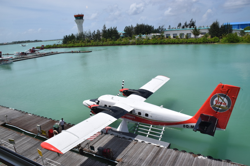      萌萌的水上飞机