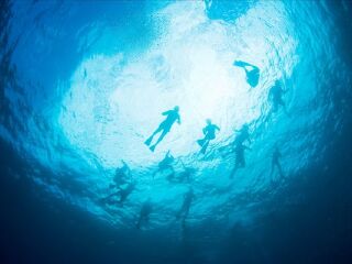 阿波罗潜水中心