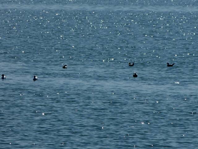 风和日丽,加利利湖波光潋滟,波澜不惊.