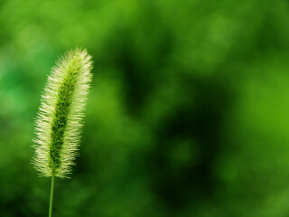 广西南宁奔腾马场