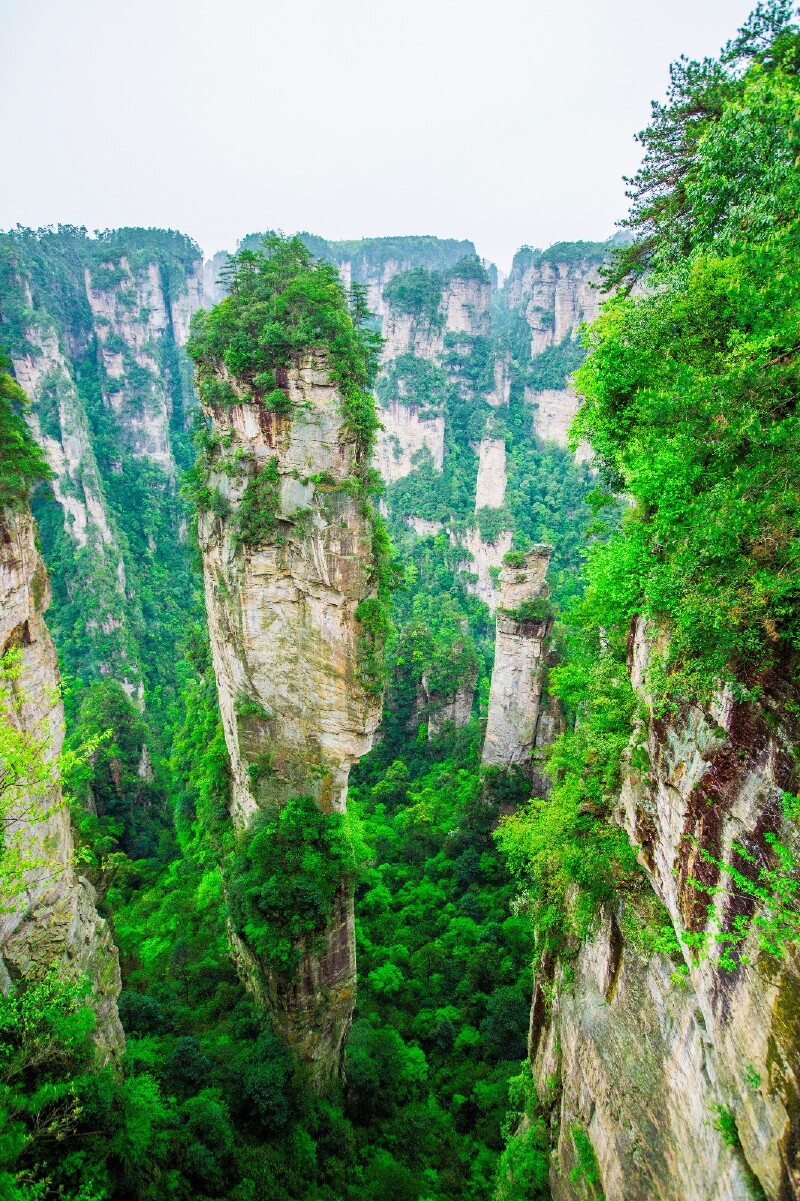 位于张家界袁家界景区,处砂刀沟风景区一带,属张家界精华景点
