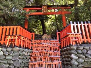 日本京都伏见稻荷大社