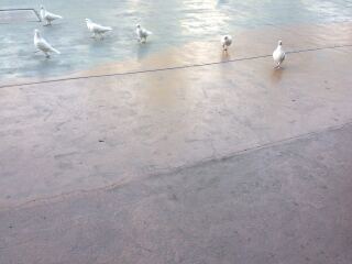 恐龙园侏罗纪水世界