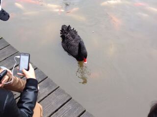 成都新南门车站