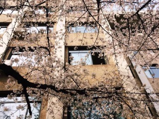 东南大学四牌楼校区