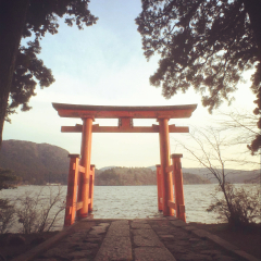 芦之湖鸟居