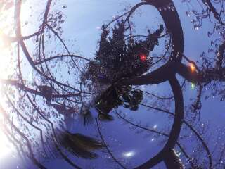 箱根玻璃之森美术馆