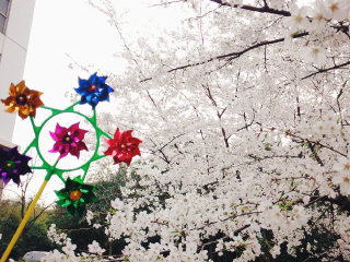 厦门胡里山炮台