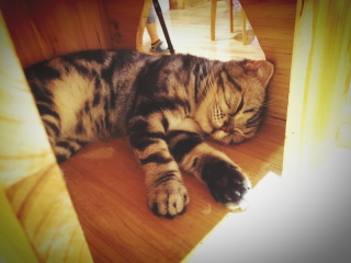 厦门鼓浪屿红地毯蜡像馆