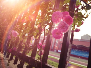 厦门鼓浪屿红地毯蜡像馆