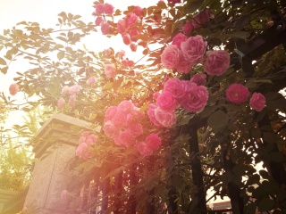 厦门鼓浪屿红地毯蜡像馆