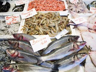 威尔森海产品市场