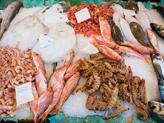 马塔马塔批发商店