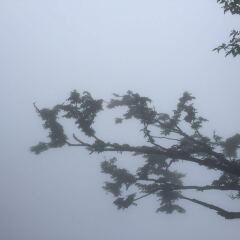 7.pic