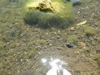 泸沽湖