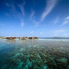 马尔代夫莉莉岛度假村电话地址_马尔代夫莉莉