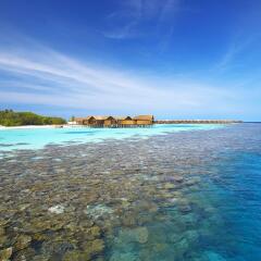 马尔代夫莉莉岛度假村电话地址_马尔代夫莉莉