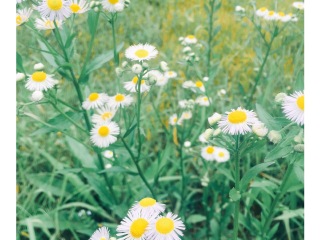 宝华山国家森林公园