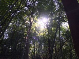 宝华山国家森林公园